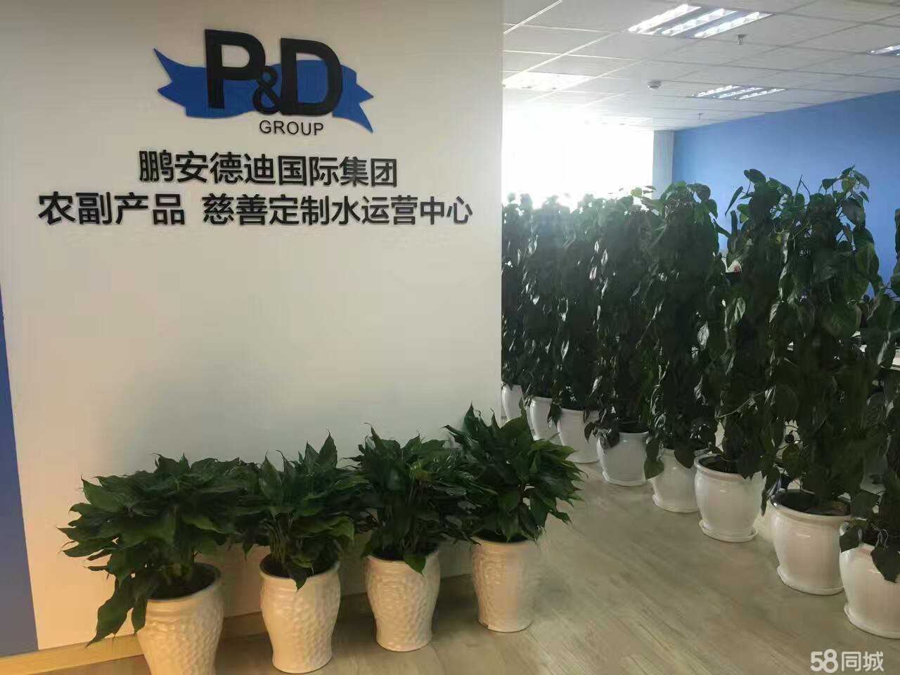 山东鹏安德迪商务咨询 专业商务信息咨询服务的领航者