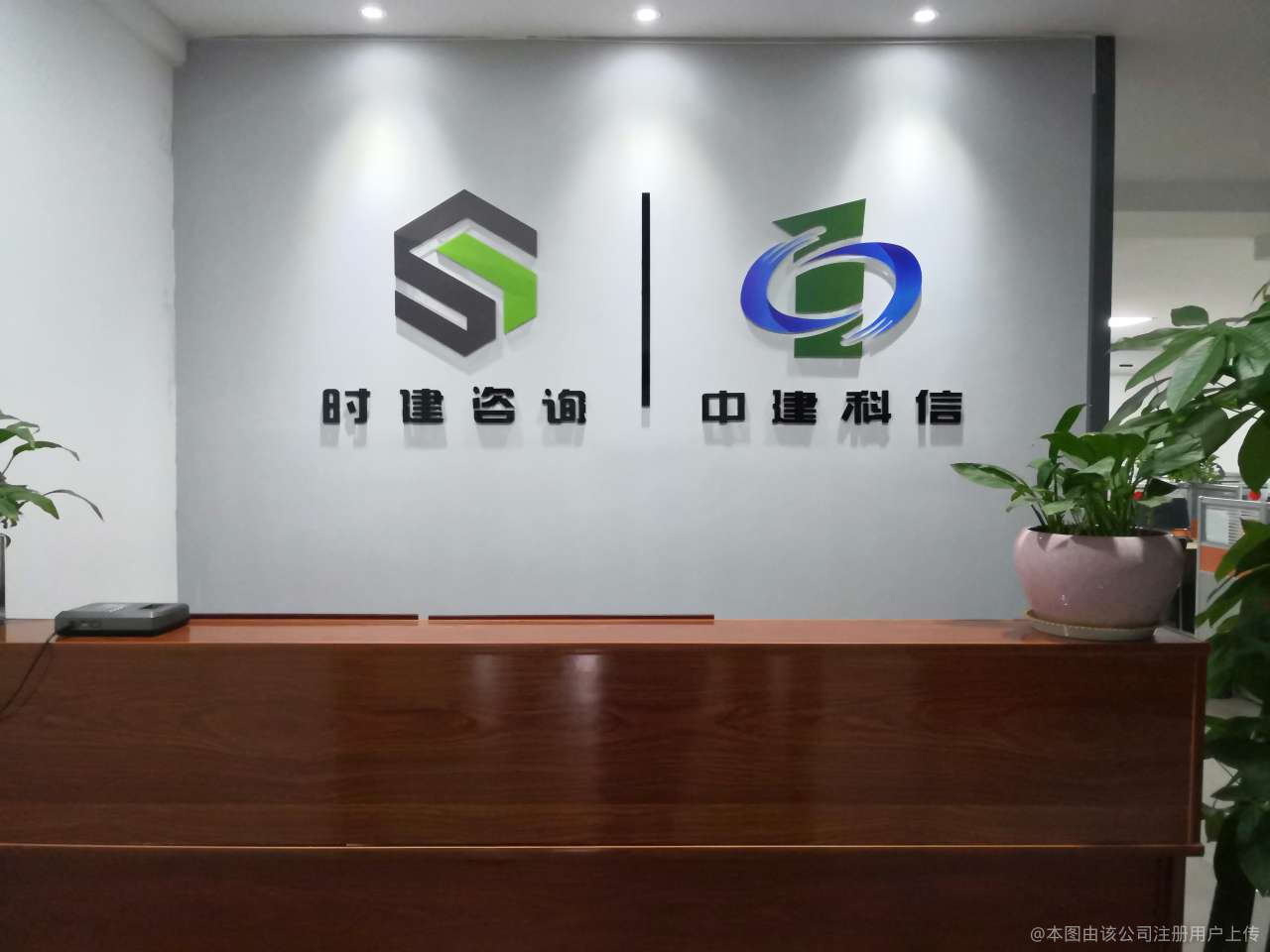 时建商务信息咨询 助力企业精准决策的智慧伙伴